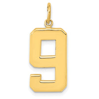 14k  Large Polished Number 9 Charm-LP09