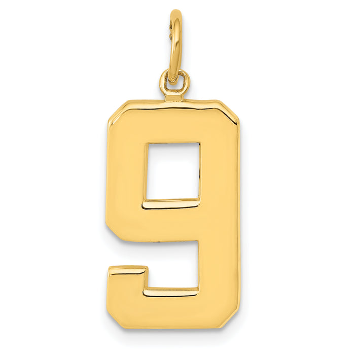 14k  Large Polished Number 9 Charm-LP09