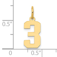 14k Small Polished Number 3 Charm-LS03