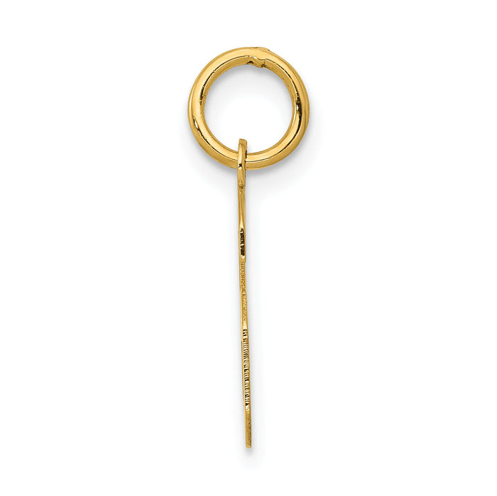 14k Small Polished Number 6 Charm-LS06