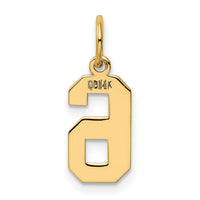 14k Small Polished Number 6 Charm-LS06