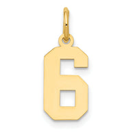 14k Small Polished Number 6 Charm-LS06