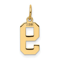 14k Small Polished Number 9 Charm-LS09