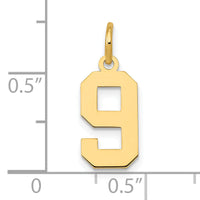 14k Small Polished Number 9 Charm-LS09