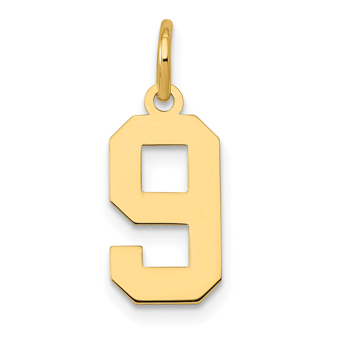14k Small Polished Number 9 Charm-LS09