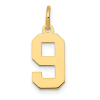 14k Small Polished Number 9 Charm-LS09