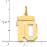 14k Small Polished Number 10 Charm-LS10