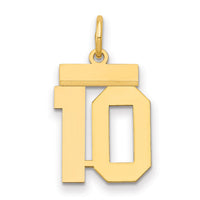 14k Small Polished Number 10 Charm-LS10
