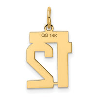 14k Small Polished Number 12 Charm-LS12