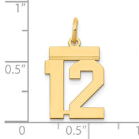 14k Small Polished Number 12 Charm-LS12