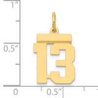 14k Small Polished Number 13 Charm-LS13