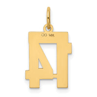 14k Small Polished Number 14 Charm-LS14