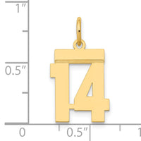 14k Small Polished Number 14 Charm-LS14