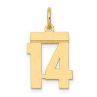 14k Small Polished Number 14 Charm-LS14