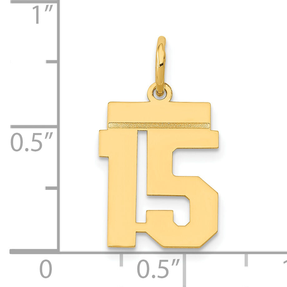 14k Small Polished Number 15 Charm-LS15