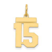 14k Small Polished Number 15 Charm-LS15