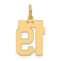 14k Small Polished Number 19 Charm-LS19