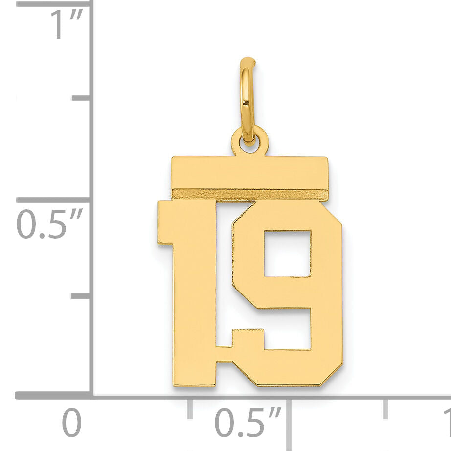 14k Small Polished Number 19 Charm-LS19