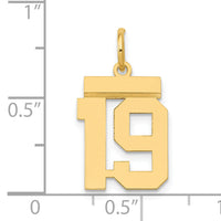 14k Small Polished Number 19 Charm-LS19