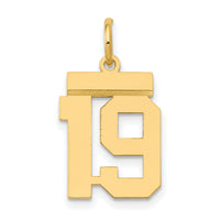 14k Small Polished Number 19 Charm-LS19