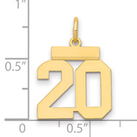 14k Small Polished Number 20 Charm-LS20