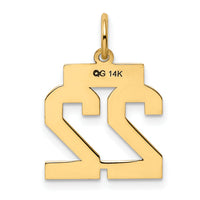 14k Small Polished Number 22 Charm-LS22