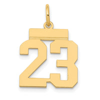 14k Small Polished Number 23 Charm-LS23