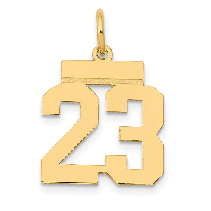 14k Small Polished Number 23 Charm-LS23