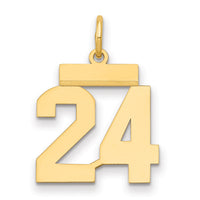 14k Small Polished Number 24 Charm-LS24