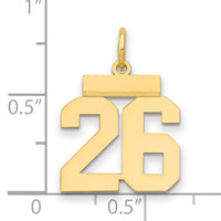 14k Small Polished Number 26 Charm-LS26