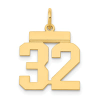 14k Small Polished Number 32 Charm-LS32