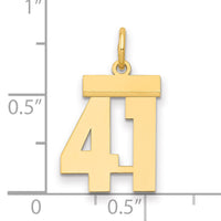 14k Small Polished Number 41 Charm-LS41