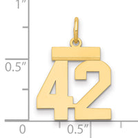 14k Small Polished Number 42 Charm-LS42
