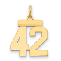 14k Small Polished Number 42 Charm-LS42