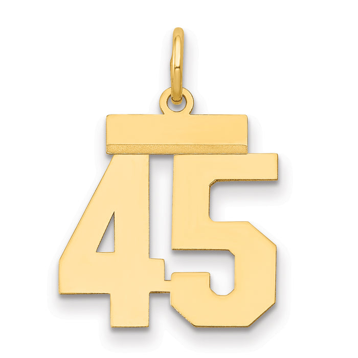 14k Small Polished Number 45 Charm-LS45