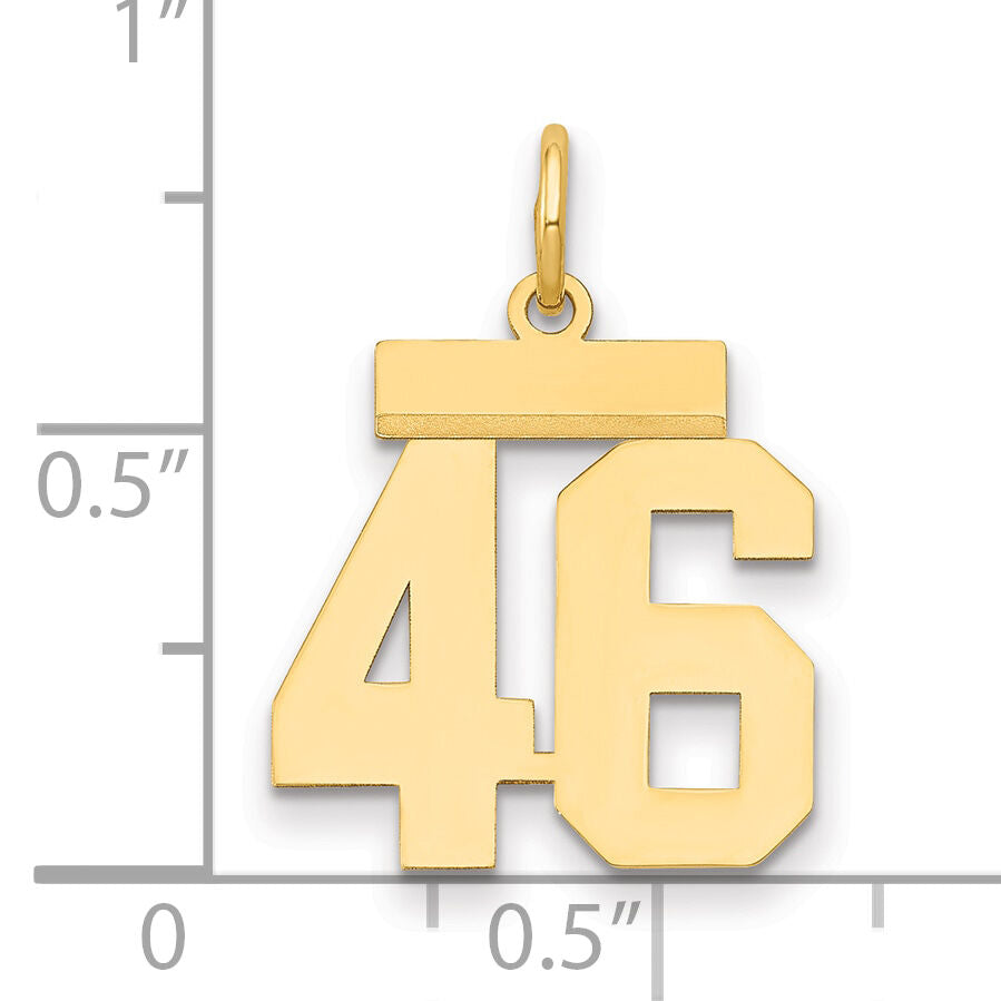 14k Small Polished Number 46 Charm-LS46