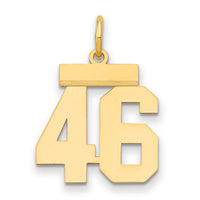 14k Small Polished Number 46 Charm-LS46
