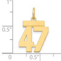 14k Small Polished Number 47 Charm-LS47