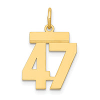 14k Small Polished Number 47 Charm-LS47