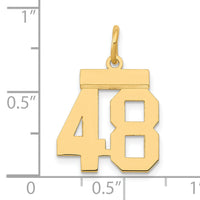 14k Small Polished Number 48 Charm-LS48