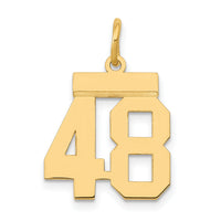 14k Small Polished Number 48 Charm-LS48