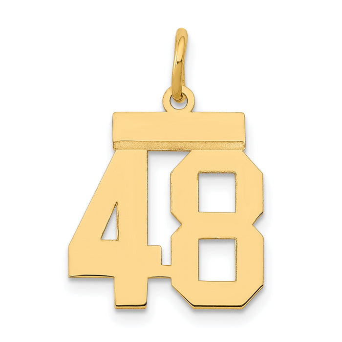14k Small Polished Number 48 Charm-LS48
