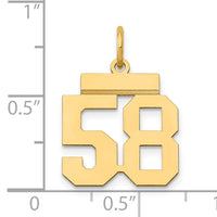 14k Small Polished Number 58 Charm-LS58