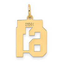 14k Small Polished Number 61 Charm-LS61