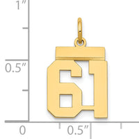 14k Small Polished Number 61 Charm-LS61