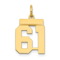 14k Small Polished Number 61 Charm-LS61