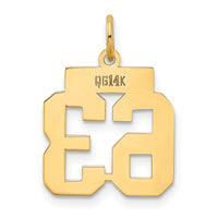 14k Small Polished Number 63 Charm-LS63