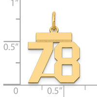 14k Small Polished Number 78 Charm-LS78