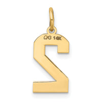 14k Medium Satin Number 2 Charm-LSM02