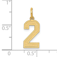 14k Medium Satin Number 2 Charm-LSM02